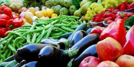 بالبلدي : أسعار الخضراوات في مصر اليوم الثلاثاء 11 يونيو 2024 بسوق العبور