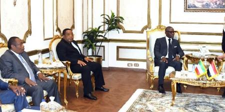 بالبلدي: القائد العام للقوات المسلحة يلتقى النائب الأول لرئيس جمهورية غينيا الاستوائية.. شاهد
