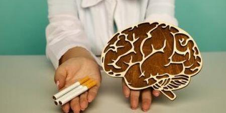 بالبلدي : أضرار التدخين على المخ.. وهذه فوائد الإقلاع عنه