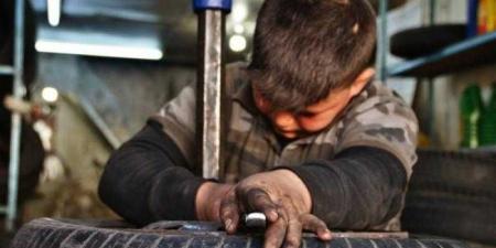 «التضامن»: لدينا 17 مركزا لمكافحة عمل الأطفال في 14 محافظة