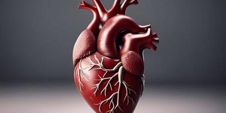 بالبلدي : ما هي إنزيمات القلب؟.. تعرف على أبرز أنواعها