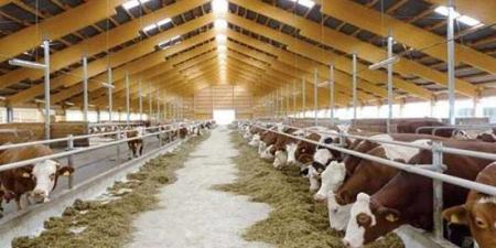 بالبلدي : الزراعة تصدر 15 نصيحة لتخفيف تأثير الحرارة على الثروة الحيوانية والداجنة