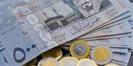 بالبلدي: موسم الحج 2024.. سعر الريال السعودي بختام تعاملات اليوم