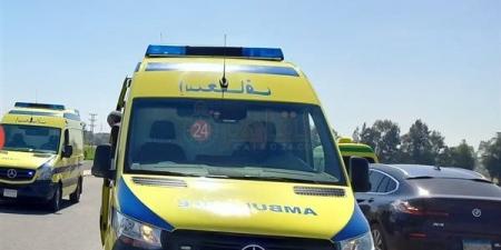 بالبلدي : إصابة أسرة كاملة في حادث تصادم أعلى طريق مصر إسكندرية الصحراوي