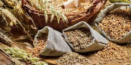 بالبلدي: أفضل أنواع الحبوب وأكثرها فائدة لصحة الإنسان