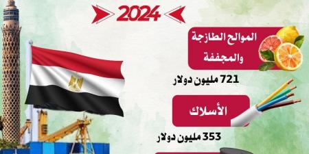 بالبلدي: التجارة: الصادرات السلعية المصرية تحقق أعلى معدل وتسجل 16مليار و551 مليون دولار وترتفع بنسبة 9.8%