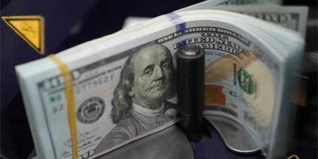 بالبلدي : أسعار الدولار في مصر اليوم الثلاثاء