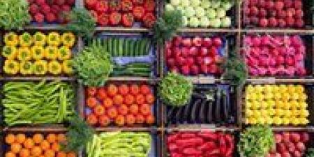 بالبلدي: أسعار الخضروات والفاكهة اليوم الخميس 4 - 7 – 2024 في السوق المصري