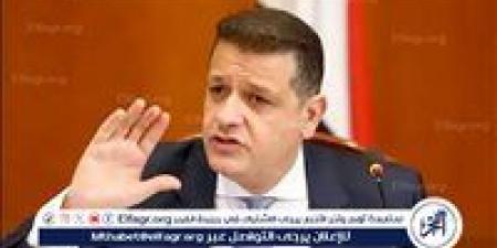 بالبلدي: برلماني يكشف تفاصيل جديدة بشأن انتهاء مهلة تقنين وضع الأجانب الموجودين في مصر