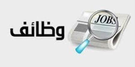 بالبلدي : فرصه عمل مميزة في بنك الأهلي الكويت.. "التفاصيل وكيفية التقديم"
