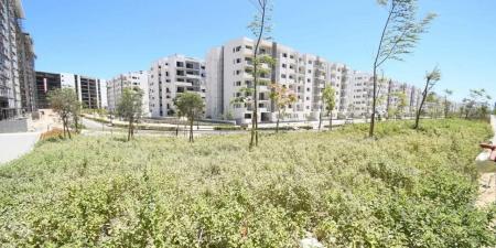 وزير
      الإسكان
      يتفقد
      كومباوند
      مزارين
      والحي
      اللاتيني
      بمدينة
      العلمين
      الجديدة
      والطريق
      الساحلي
      الدولي