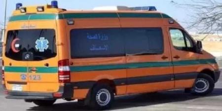 مصرع
      شابين
      وإصابة
      آخر
      فى
      حادث
      مرورى
      بمركز
      أبو
      تشت
      بقنا