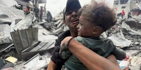 بالبلدي : 50
      شهيدًا
      في
      غزة
      خلال
      ساعات..
      وقصف
      إسرائيلي
      يستهدف
      مدارس
      وخيام
      نازحين