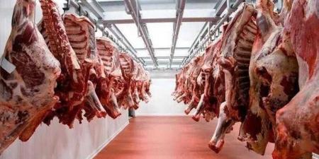 بالبلدي : أسعار
      اللحوم
      الحمراء
      اليوم
      السبت