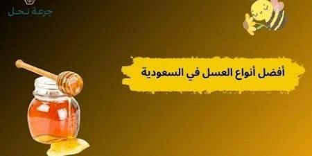 بالبلدي: أفضل
      أنواع
      العسل
      في
      السعودية..
      كيف
      تختار
      النوع
      المناسب
      لك؟