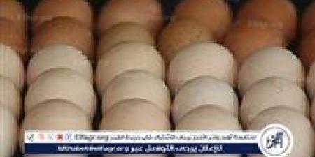 بالبلدي: أسعار
      طبق
      البيض
      اليوم
      الاحد
      29-6-2025
      في
      قنا