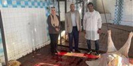 بالبلدي: رقابة
      بيطرية
      مشددة
      لضمان
      سلامة
      اللحوم
      بدمياط