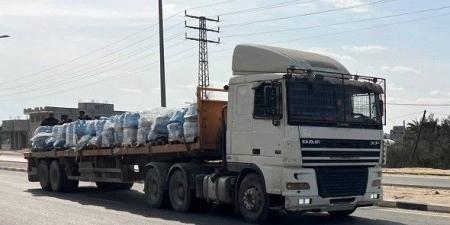 بالبلدي: مقتل
      خمسة
      فلسطينيين
      أثناء
      انتظار
      المساعدات
      في
      رفح
      وسط
      تصعيد
      إسرائيلي
      واسع
      وترامب
      يدعو
      لإبرام
      صفقة
      فورية