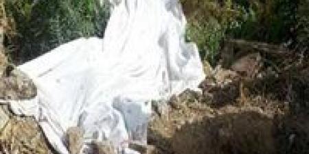 بالبلدي: دفن
      الجثة
      في
      أرض
      زراعية..
      تفاصيل
      مقتل
      أم
      على
      يد
      نجلها
      بالمنيا
