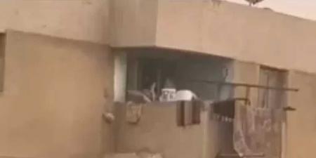 والدة
      طفل
      البلكونة:
      اللي
      صورت
      الفيديو
      دمرت
      بيتنا