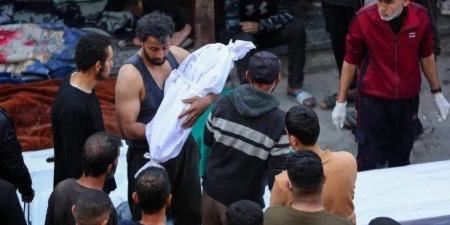 بالبلدي: استشهاد
      13
      فلسطينيا
      في
      قصف
      إسرائيلي
      لمنتظري
      المساعدات
      بجنوب
      غزة