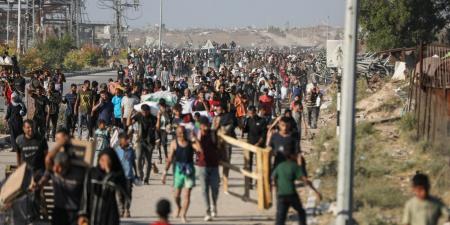 بالبلدي: "هذه ليست استجابة إنسانية".. أكثر من 130 منظمة غير حكومية تدعو مؤسسة الإغاثة في غزة لوقف عملياتها فورا