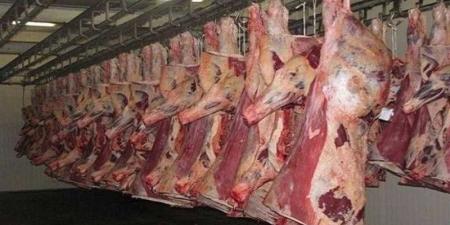 بالبلدي : أسعار
      اللحوم
      الحمراء
      اليوم
      الخميس