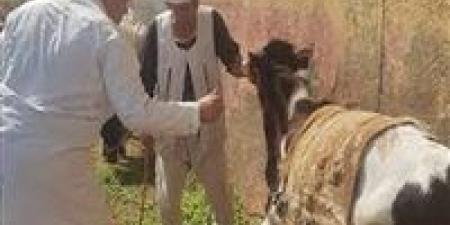 بالبلدي: «الزراعة»
      تطلق
      214
      قافلة
      بيطرية
      مجانية
      في
      176
      قرية
      خلال
      يونيو
      الماضي