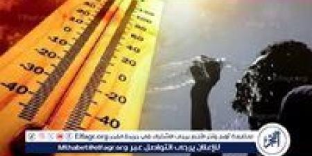 بالبلدي: حالة
      الطقس
      اليوم
      السبت
      5-7-2025
      في
      محافظة
      قنا