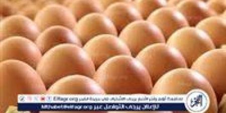 بالبلدي: أسعار
      طبق
      البيض
      اليوم
      الأحد
      6-7-2025
      في
      قنا