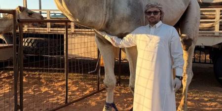 بالبلدي: الدكتور
      مالك
      الجوابرة
