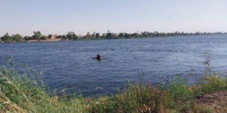 بالبلدي : لليوم
      الثالث..
      تواصل
      جهود
      البحث
      عن
      ضحايا
      حادث
      سقوط
      سيارة
      من
      عبارة
      بدشنا
