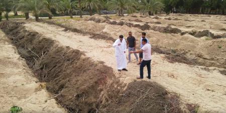 belbalady رجل يسعى لتحويل صحارى الكويت إلى جنّة خضراء..غابة بعد أخرى