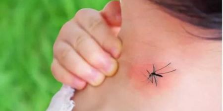 إسلام
أباد:
تسجيل
6
حالات
إصابة
جديدة
بحمى
الضنك
فقط
خلال
24
ساعة