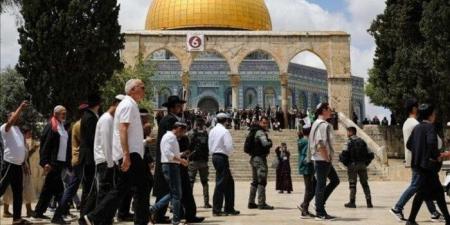 بالبلدي: التعاون
الخليجي:
اعتداءات
الاحتلال
على
المسجد
الأقصى
انتهاك
صارخ