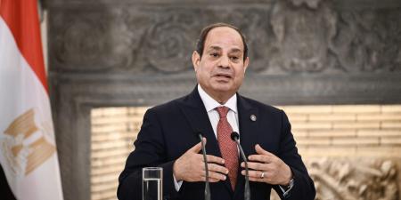 بالبلدي: "قد تُلغى بأكملها".. أول تعليق لهيئة الانتخابات في مصر بعد بيان السيسي