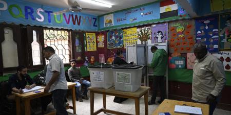 بالبلدي: مصر.. السيسي يعلق على "مخالفات" بانتخابات مجلس النواب ويصدر توجيها بشأنها