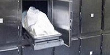 بالبلدي : مصرع
      شاب
      جراء
      حادث
      تصادم
      مع
      سيارة
      نقل
      في
      بورسعيد