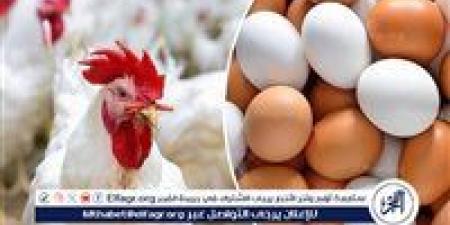 بالبلدي: تباين
      طفيف
      في
      أسعار
      الدواجن
      والبيض
      في
      أسوان
      الأربعاء
      19
      نوفمبر
      2025