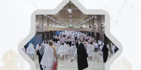 بالبلدي: أسعار
      عمرة
      رمضان
      2026...تعرف
      علي
      احدث
      البرامج
      الاقتصادية