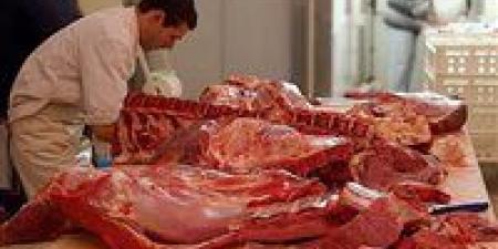 بالبلدي: أسعار
      اللحوم
      اليوم
      الجمعة
      21
      -
      11
      -
      2025