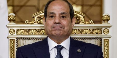 belbalady مصر.. "خناقة" علاء مبارك وهجوم ساويرس على مصطفى بكري بذكرى ميلاد السيسي يثير تفاعلا