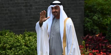 بالبلدي: وصفها بـ"السند".. محمد بن زايد يدعو للاحتفاء بـ"عقود من الأخوة" مع الكويت