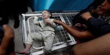 بالبلدي: اليونيسف:
      استشهاد
      طفلين
      كل
      يوم
      خلال
      وقف
      إطلاق
      النار
      الهش
      فى
      غزة