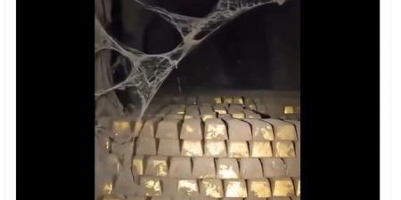 بالبلدي: من تركيا إلى العراق ولبنان وسوريا.. كيف انتشر فيديو "مغارة الذهب"؟