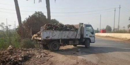 بالبلدي: جهود
      مكثفة
      للوحدات
      المحلية
      ببني
      سويف
      في
      تحسين
      الخدمات
      ورفع
      كفاءة
      البنية
      الأساسية