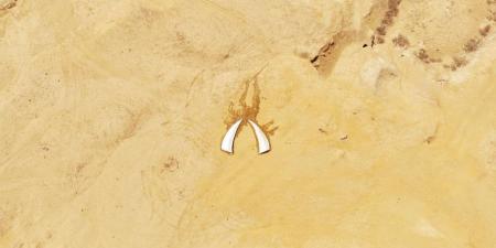 بالبلدي : فنانة
      سيبيرية
      شابة
      تبتكر
      منحوتة
      جليدية
      ضخمة
      في
      صحراء
      مصر
      لتسليط
      الضوء
      على
      أزمة
      المناخ