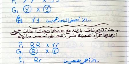 بالبلدي: كل
      أفكار
      مسائل
      الوراثة
      في
      العلوم
      لطلاب
      الصف
      الثالث
      الإعدادي