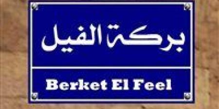 بالبلدي: حكاية
      بركة
      الفيل
      وسبب
      هذا
      الاسم!