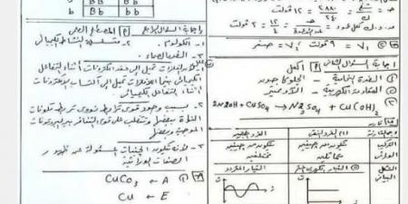 بالبلدي: اعرف
درجتك
التقريبية..
حل
امتحان
العلوم
الصف
الثالث
الإعدادي
بالدقهلية
الترم
الثاني